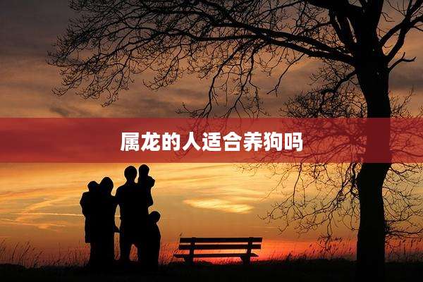 属龙的人适合养狗吗