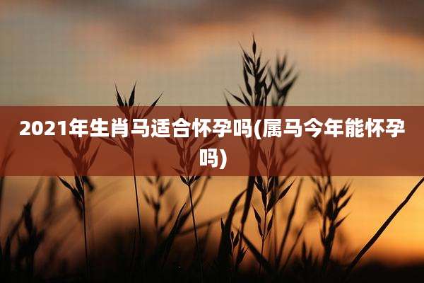 2021年生肖马适合怀孕吗(属马今年能怀孕吗)