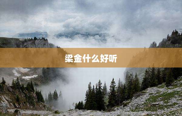 梁金什么好听