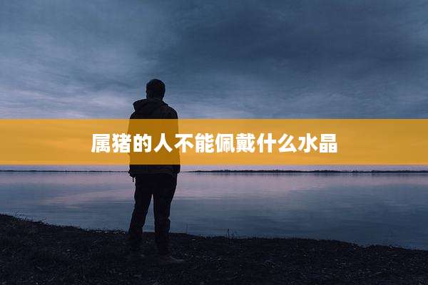 属猪的人不能佩戴什么水晶