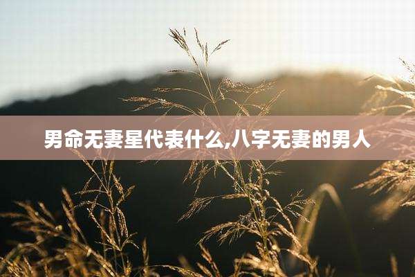 男命无妻星代表什么,八字无妻的男人