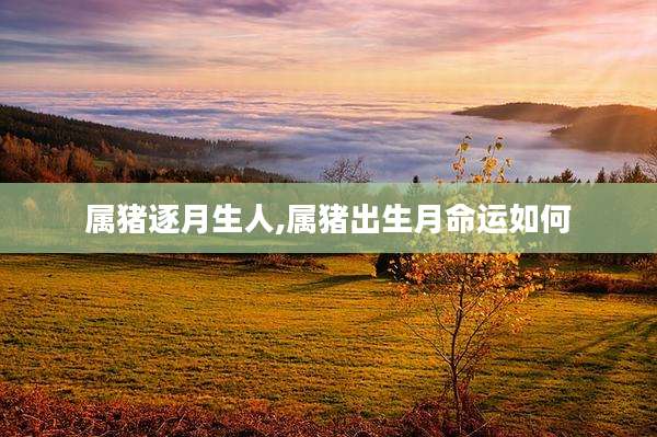 属猪逐月生人,属猪出生月命运如何