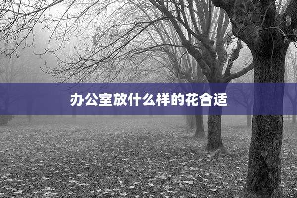 办公室放什么样的花合适