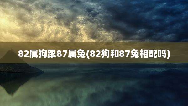 82属狗跟87属兔(82狗和87兔相配吗)