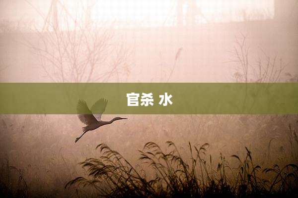 官杀 水