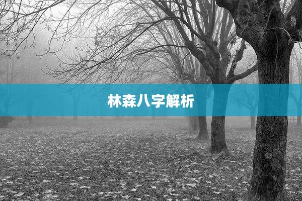 林森八字解析