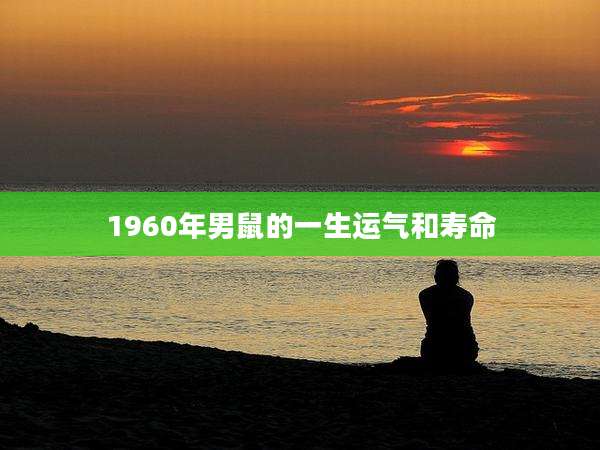 1960年男鼠的一生运气和寿命