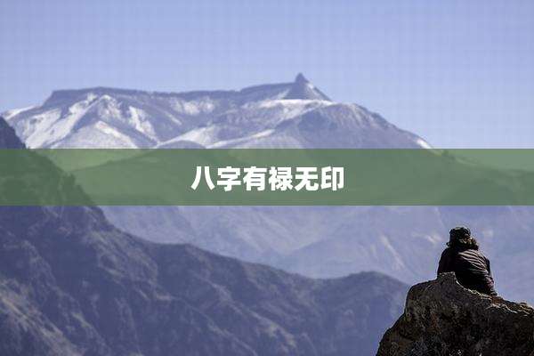 八字有禄无印