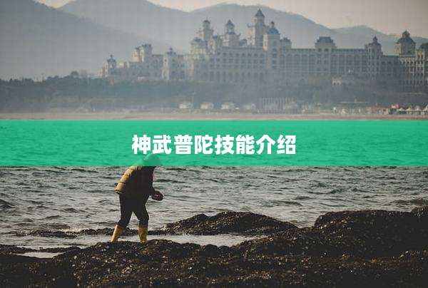 神武普陀技能介绍