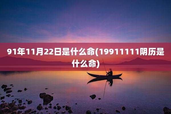 91年11月22日是什么命(19911111阴历是什么命)
