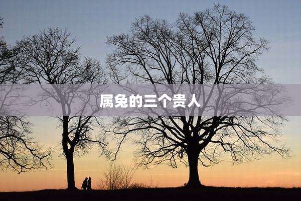 属兔的三个贵人