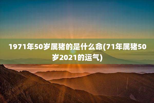 1971年50岁属猪的是什么命(71年属猪50岁2021的运气)