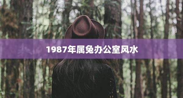 1987年属兔办公室风水