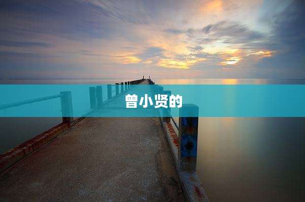 曾小贤的