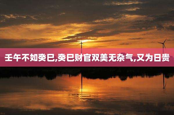 壬午不如癸巳,癸巳财官双美无杂气,又为日贵