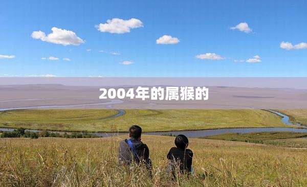 2004年的属猴的