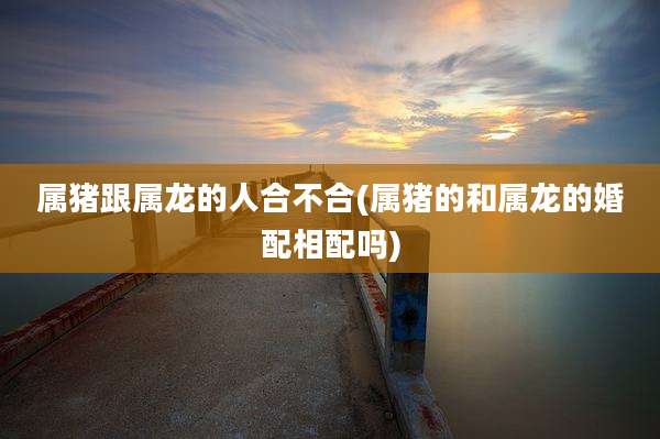 属猪跟属龙的人合不合(属猪的和属龙的婚配相配吗)