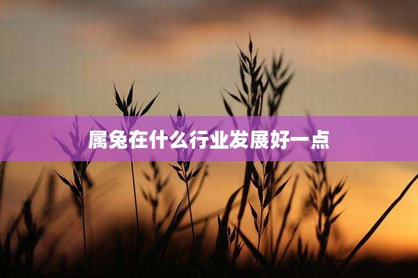属兔在什么行业发展好一点