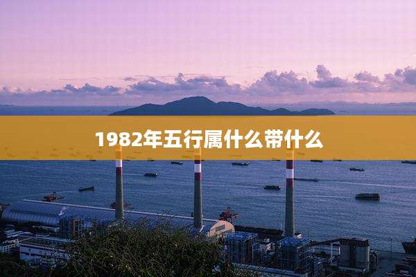 1982年五行属什么带什么