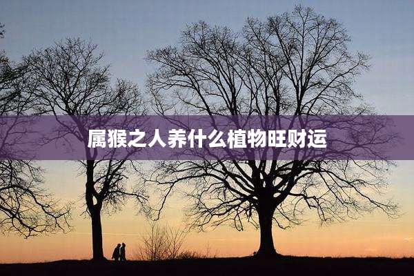 属猴之人养什么植物旺财运