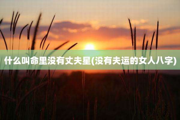 什么叫命里没有丈夫星(没有夫运的女人八字)