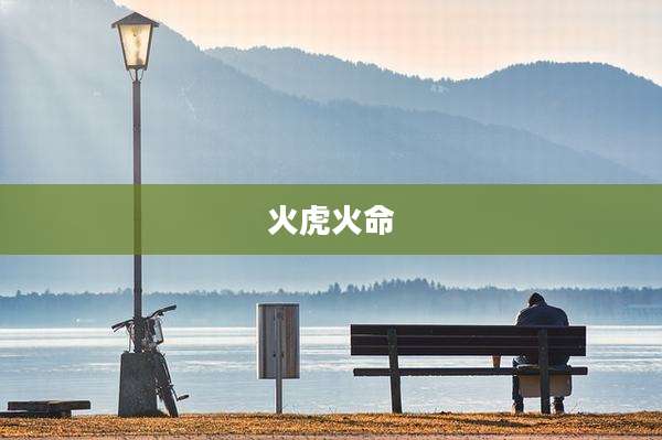 火虎火命