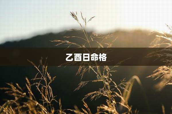 乙酉日命格