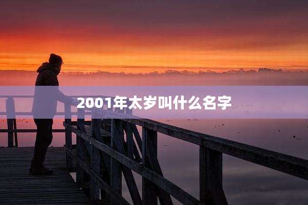 2001年太岁叫什么名字