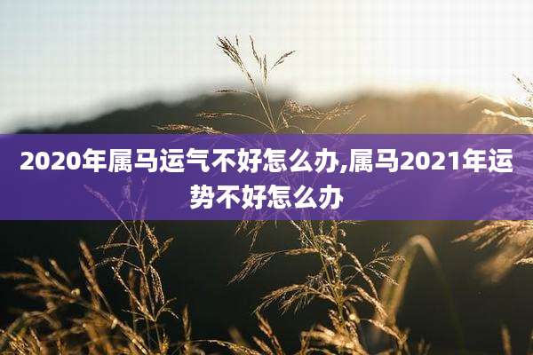 2020年属马运气不好怎么办,属马2021年运势不好怎么办