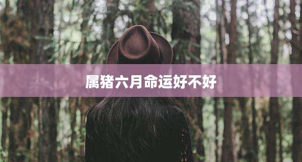 属猪六月命运好不好