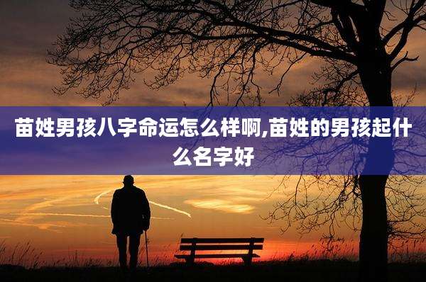 苗姓男孩八字命运怎么样啊,苗姓的男孩起什么名字好