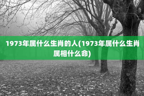1973年属什么生肖的人(1973年属什么生肖属相什么命)