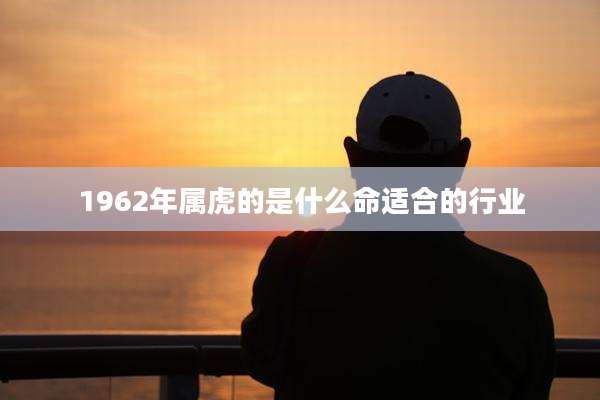 1962年属虎的是什么命适合的行业