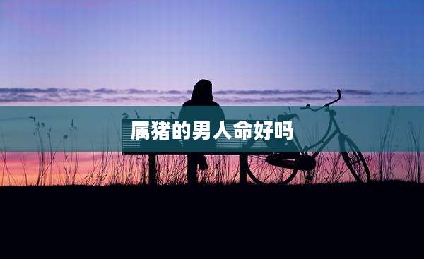 属猪的男人命好吗