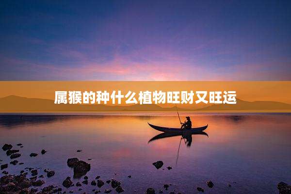 属猴的种什么植物旺财又旺运
