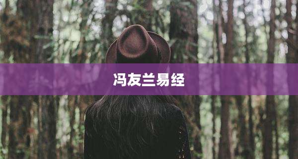 冯友兰易经