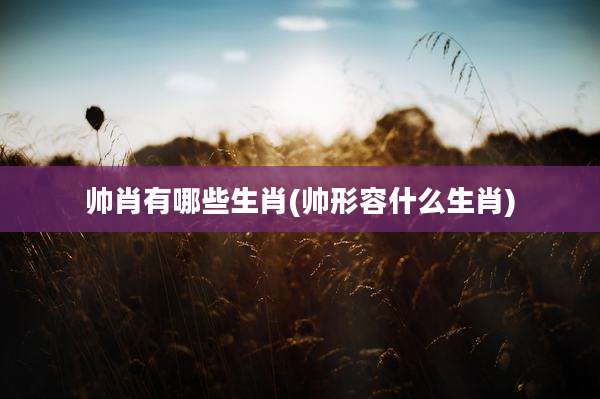 帅肖有哪些生肖(帅形容什么生肖)