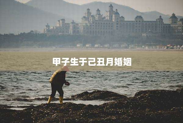 甲子生于己丑月婚姻