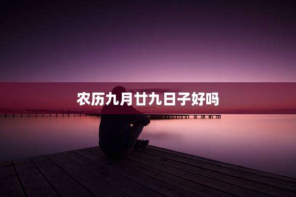 农历九月廿九日子好吗