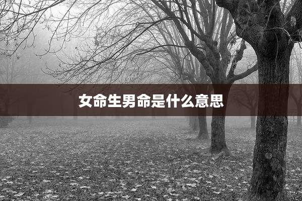女命生男命是什么意思