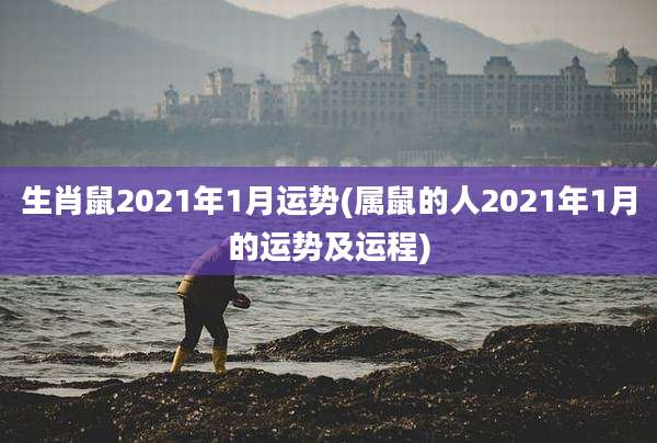 生肖鼠2021年1月运势(属鼠的人2021年1月的运势及运程)