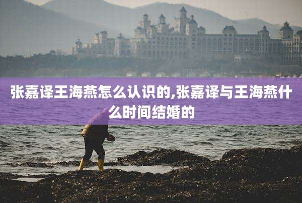 张嘉译王海燕怎么认识的,张嘉译与王海燕什么时间结婚的