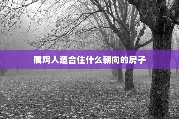 属鸡人适合住什么朝向的房子