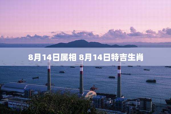 8月14日属相 8月14日特吉生肖