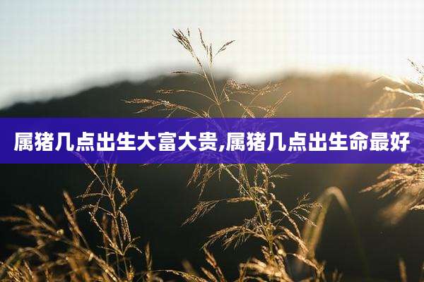 属猪几点出生大富大贵,属猪几点出生命最好