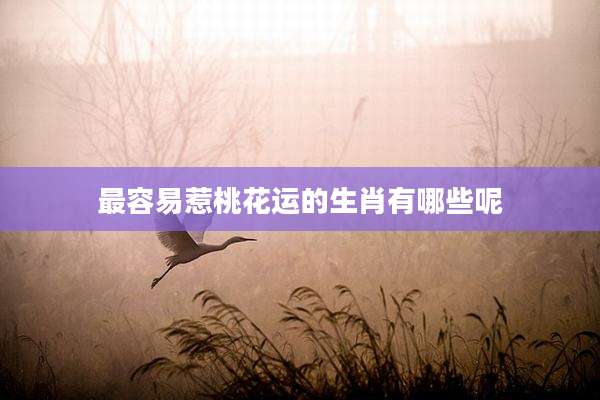 最容易惹桃花运的生肖有哪些呢