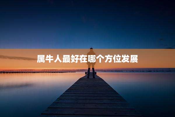 属牛人最好在哪个方位发展