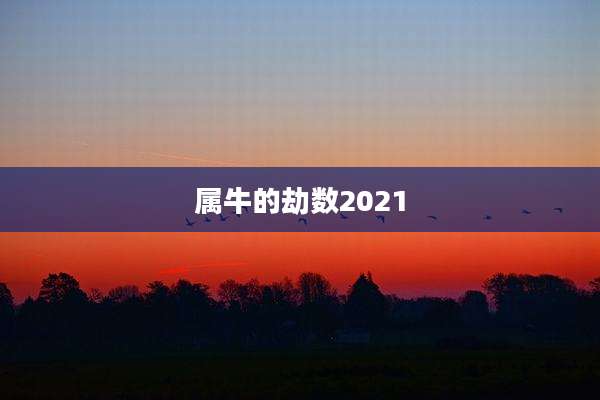 属牛的劫数2021