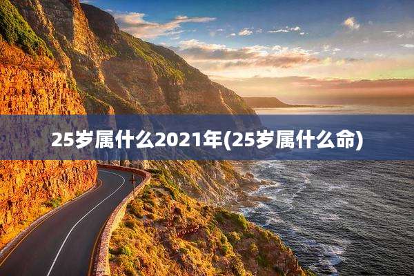 25岁属什么2021年(25岁属什么命)