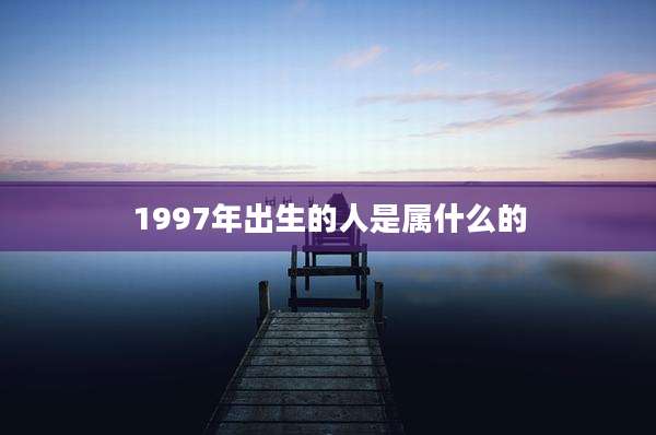 1997年出生的人是属什么的